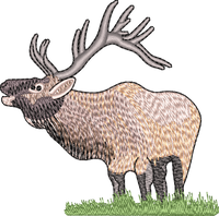 Elk1