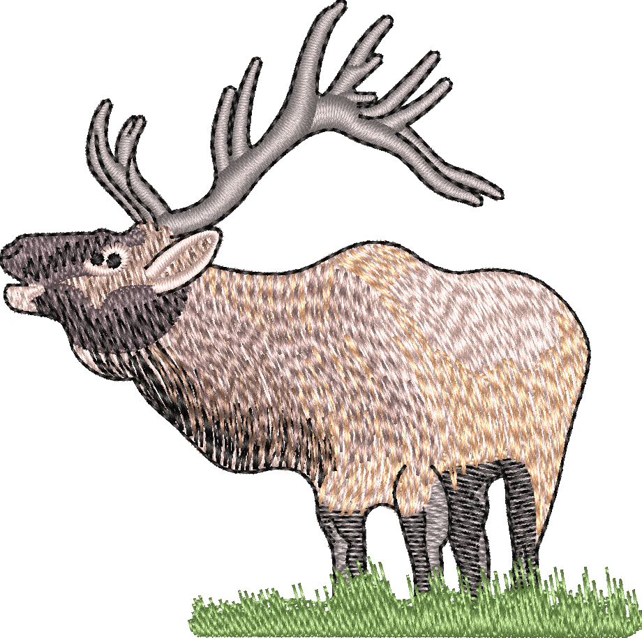 Elk1
