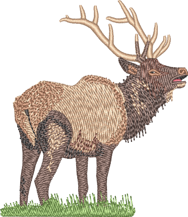 Elk2
