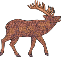 Elk3