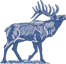 Elk4