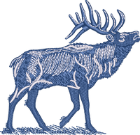 Elk4