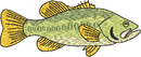 FISH1