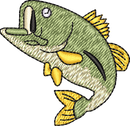 FISH10
