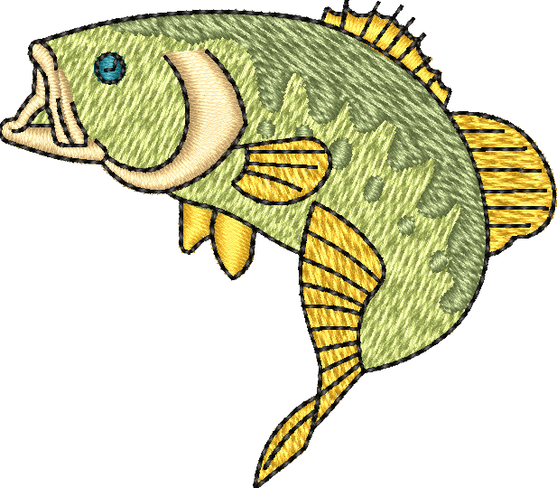 FISH12
