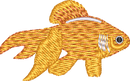 FISH13