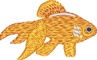 FISH13