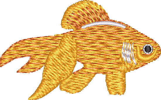 FISH13