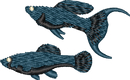 FISH14