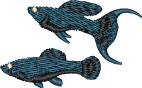 FISH14