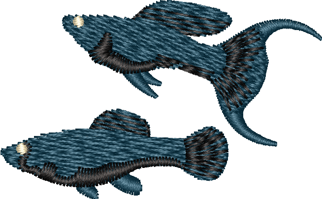 FISH14