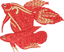 FISH15
