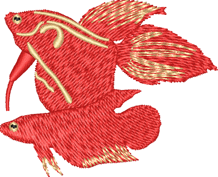 FISH15