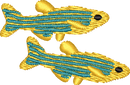 FISH16