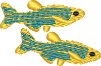 FISH16