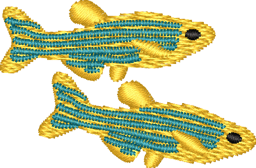 FISH16