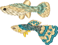 FISH17