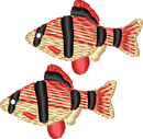 FISH18