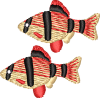 FISH18