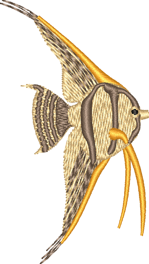 FISH19