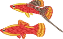 FISH20