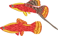 FISH20