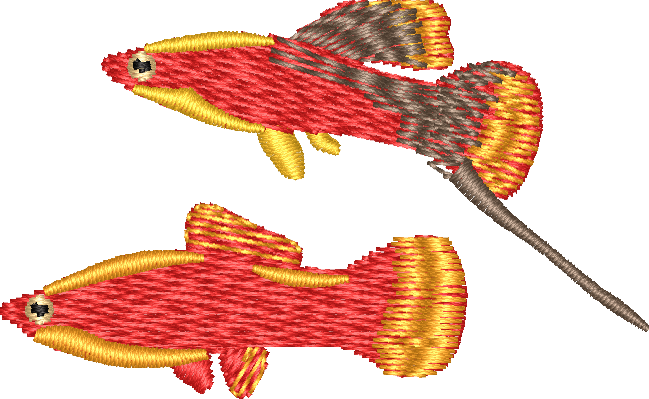 FISH20