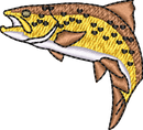 FISH22