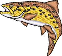 FISH22