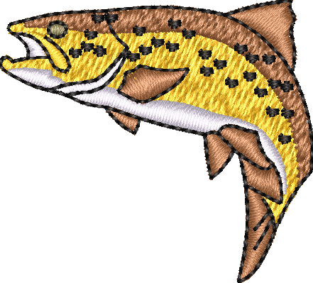 FISH22
