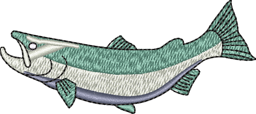 FISH24