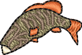 FISH26