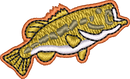 FISH27