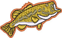FISH27