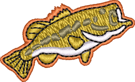 Fish27