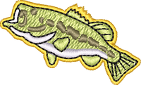 FISH28