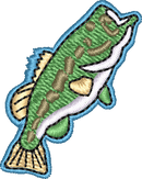 FISH29