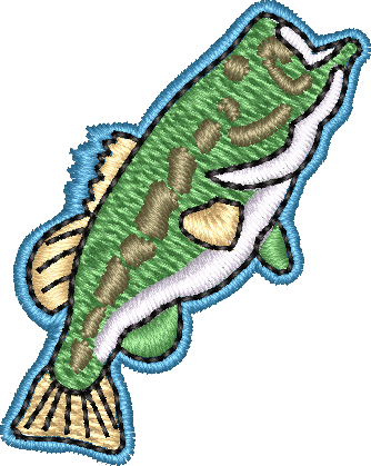 Fish29