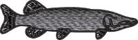 FISH3