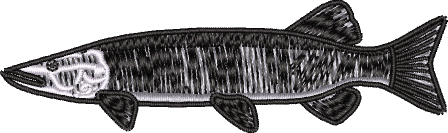 Fish4