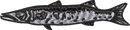 FISH5