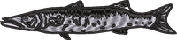 FISH5