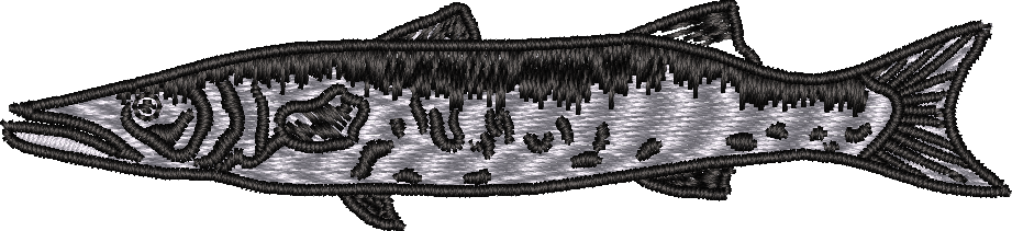 Fish5