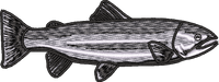 FISH6