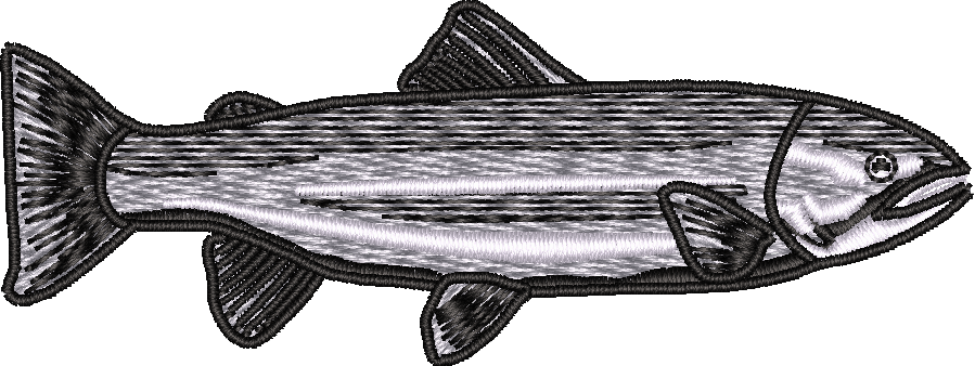 Fish6