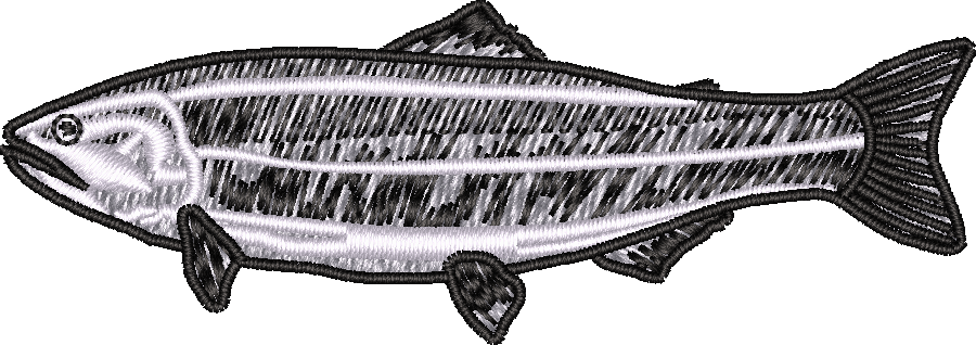 Fish7