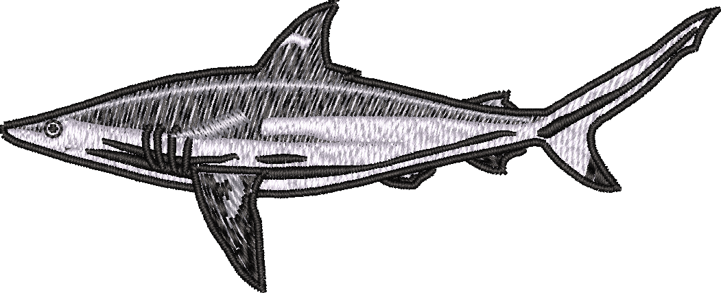 Fish8