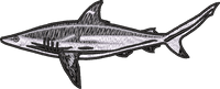 FISH8
