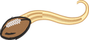 FTBALLTAIL