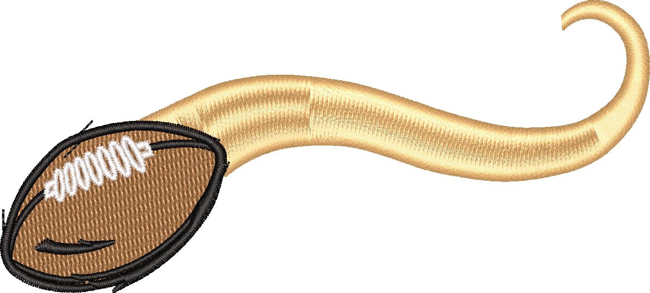 FTBALLTAIL